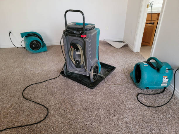 Best Fire Damage Restoration  in Omro, WI