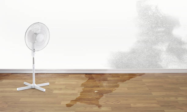 Best Commercial water damage restoration  in Omro, WI