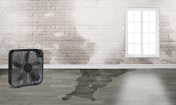Best Water damage restoration near me  in Omro, WI