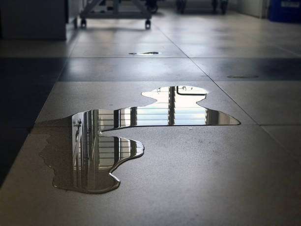 Best Local water damage restoration  in Omro, WI