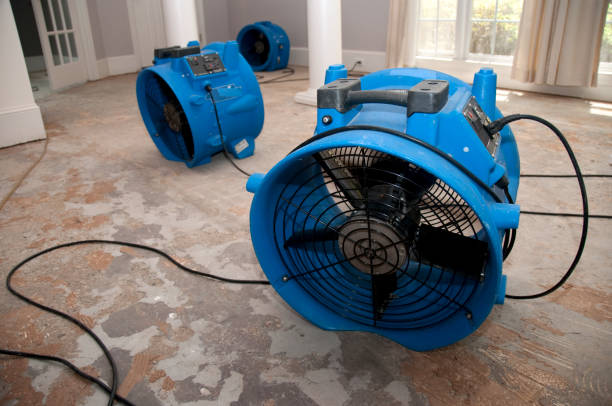  Omro, WI Water damage restoration Pros