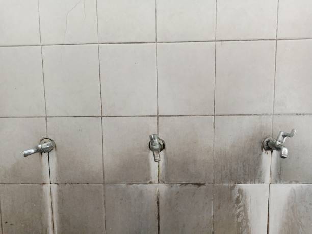 Best Professional water damage repair  in Omro, WI
