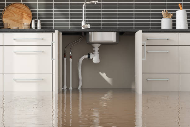 Best Flood damage cleanup  in Omro, WI