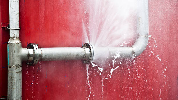Best Water damage cleanup near me  in Omro, WI